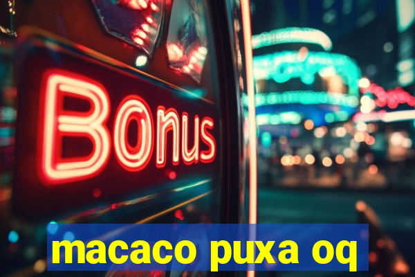 macaco puxa oq